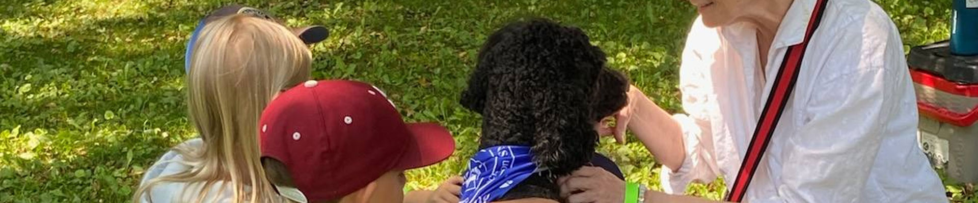 Therapy Dogs in the News