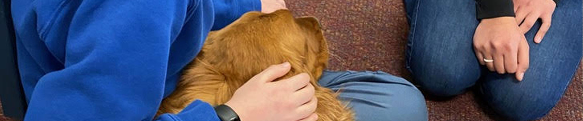Southern WI Canine Therapy Dog Association Board Members