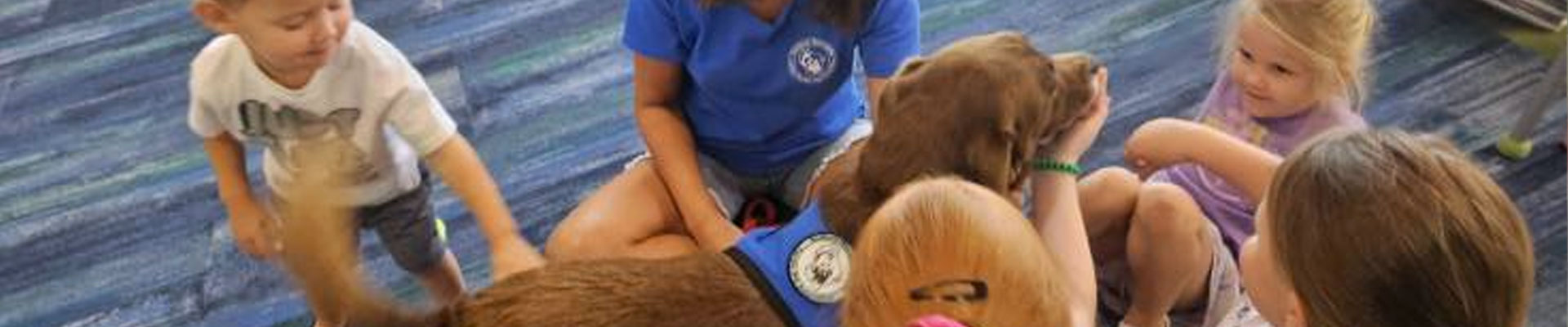 Benefits of Therapy Dog Training